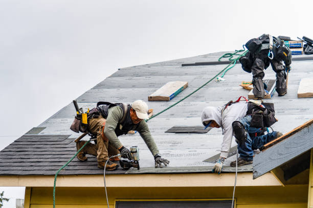 Professional Gutter Installation technician working in Roscoe, IL